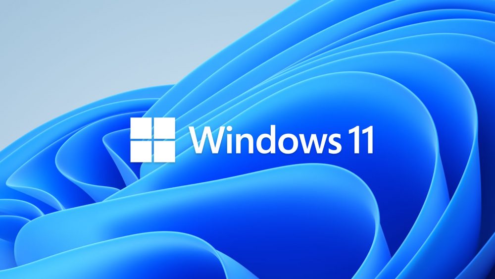 Window 10, window 11 không kết nối được máy in